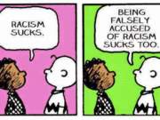Racism at work, being accused of racism