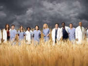 doctors & nurses standing in a field