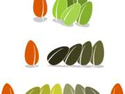 unconscious bias represented by different coloured seeds